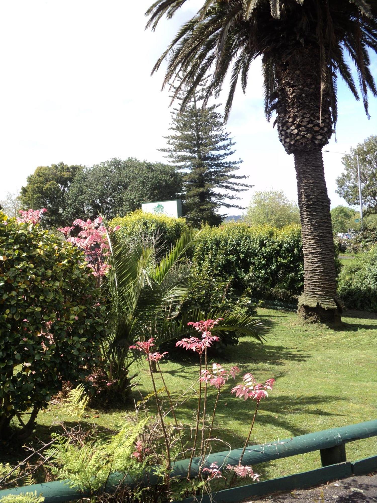 New Haven Motel Auckland Buitenkant foto